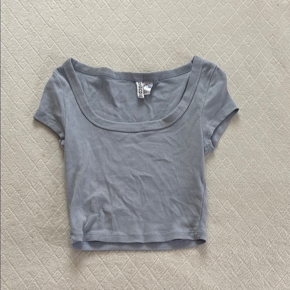 Brandy Melville Gray Fitted Crop T-Shirt